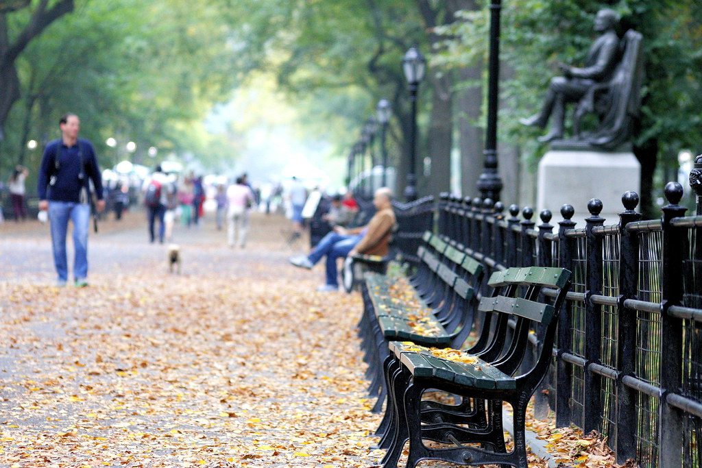 Park benches beside a quiet walking path